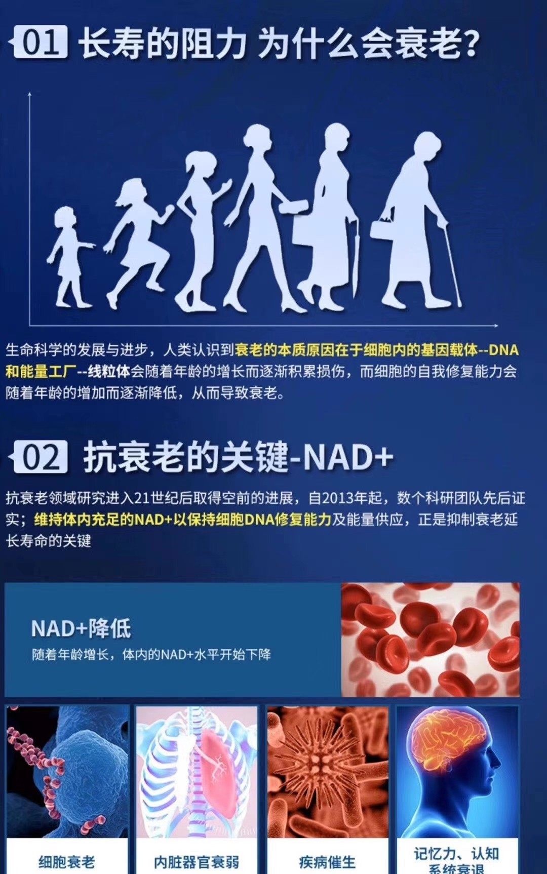 古特生物 01长寿的阻力 为什么会衰老?02 抗衰老的关键-NAD+