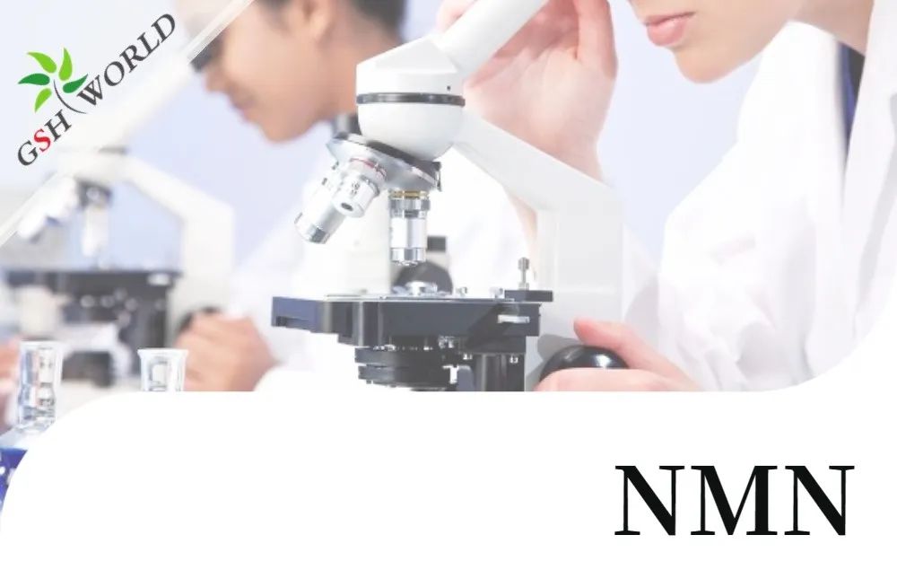 古特生物 古特生物