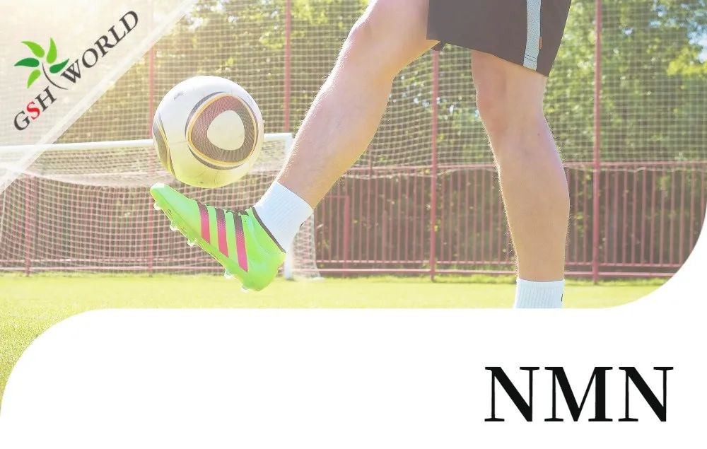 行业关注 - NMN对肌腱炎的抗氧化作用