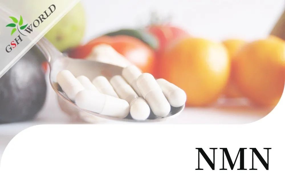行业关注 - NMN潜在的抗衰老活性及其适用性