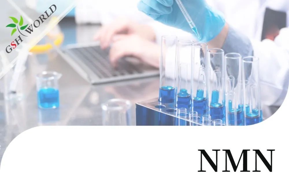 古特生物 古特生物