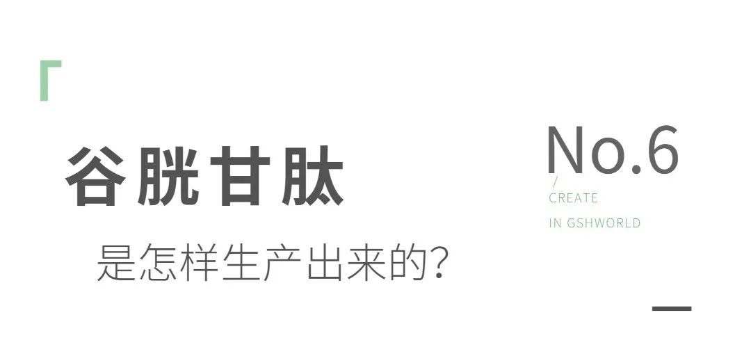谷胱甘肽是如何生产的？
