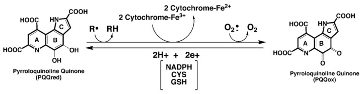 包含图片、插图等的外部文件。
对象名称为 biomolecules-11-01441-g001.jpg