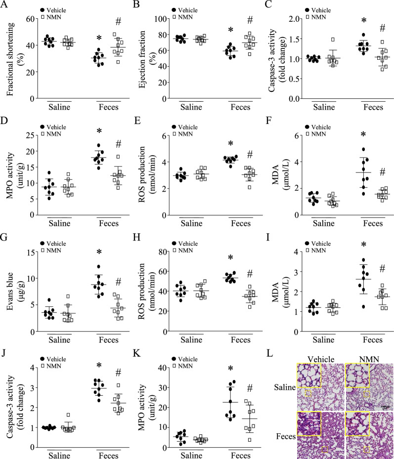 包含图片、插图等的外部文件。
对象名称为 12967_2023_4767_Fig2_HTML.jpg