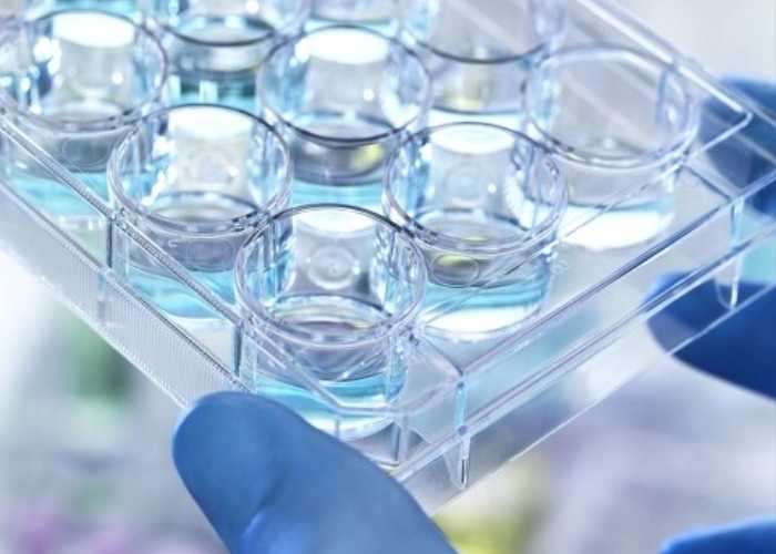 古特生物 古特生物