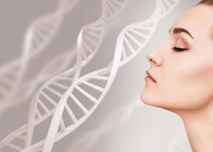 古特生物 皮肤老化