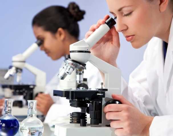 SAMe可用于治疗ADHD吗？