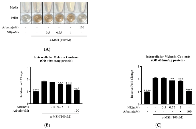 古特生物 NR最新研究结论