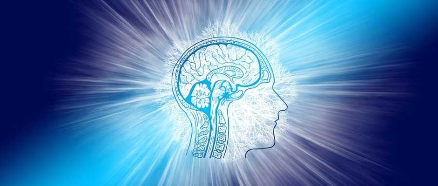 古特生物 肌肉力量和身体机能的增强