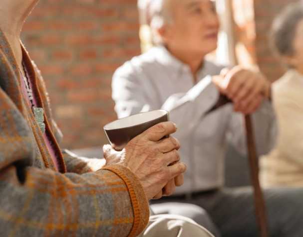 古特生物 胞磷胆碱:认知功能的支持者