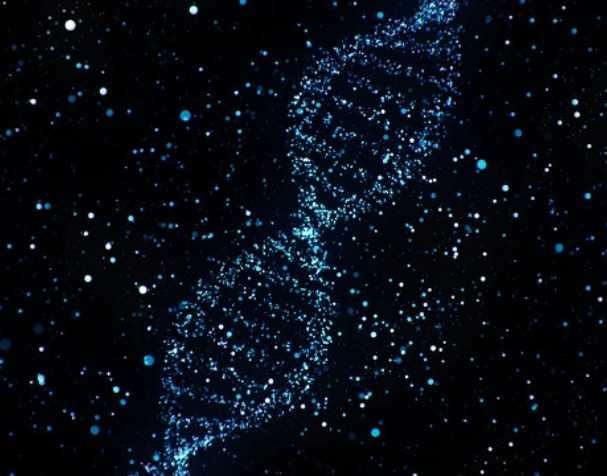 烟酰胺核糖氯化物有什么优势？