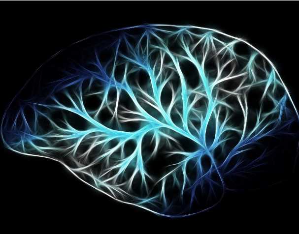 古特生物 PQQ对大脑功能的影响