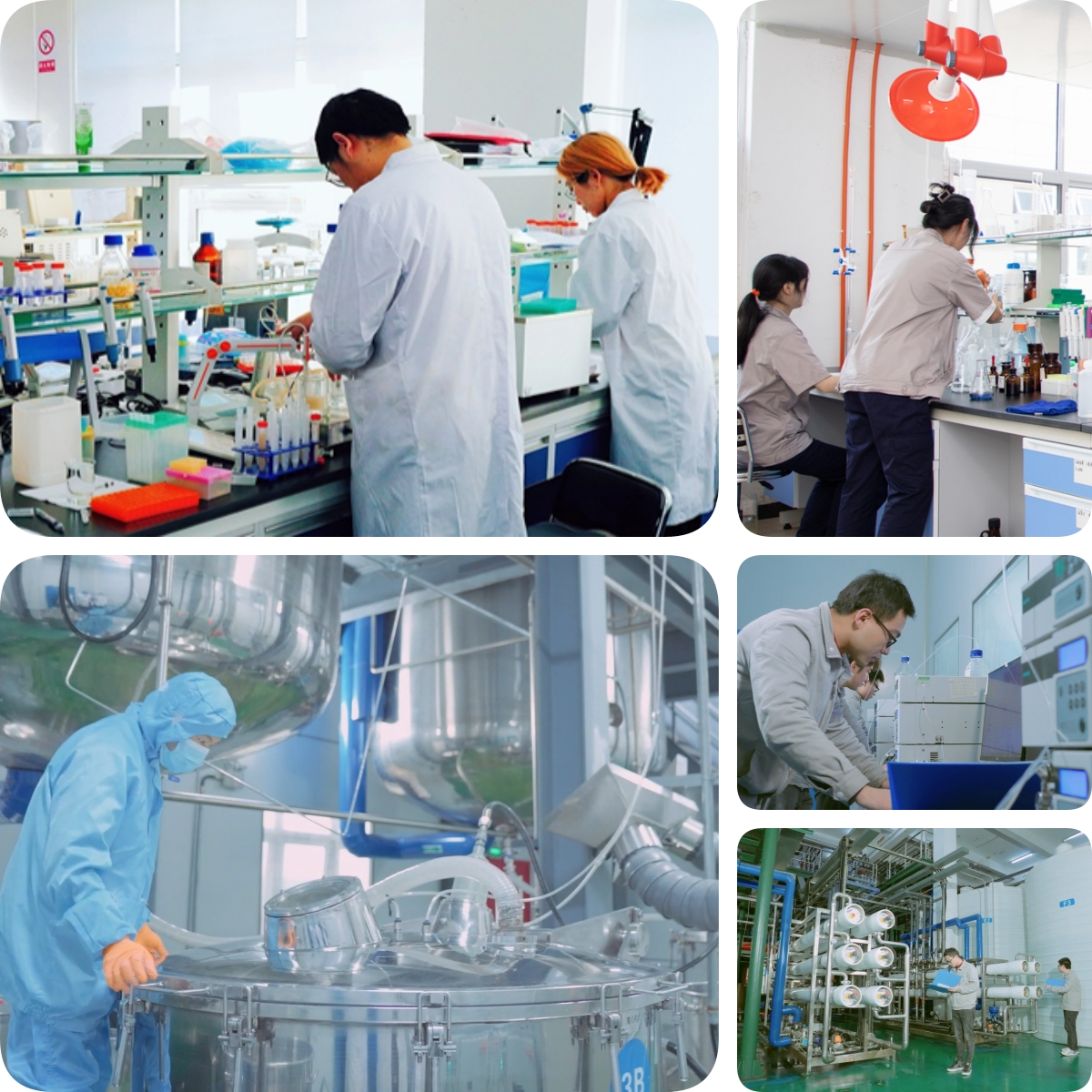 谷胱甘肽是怎么生产的？