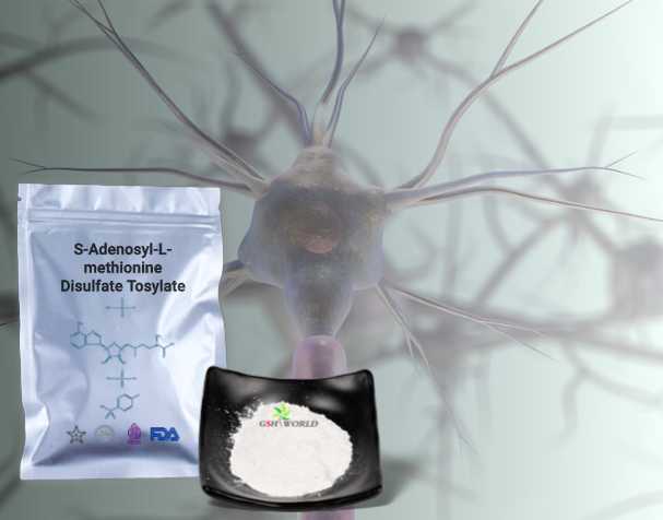 SAMe对神经健康的作用 SAMe对神经健康的作用