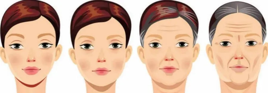 烟酰胺与NAD/NADH代谢 烟酰胺与NAD/NADH代谢