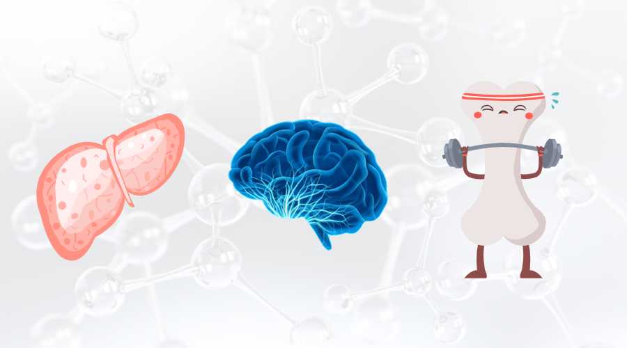 或可改善肝功能指标 或可改善肝功能指标