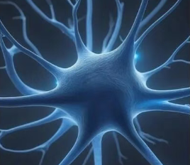 胞磷胆碱：神经膜的直接修复者