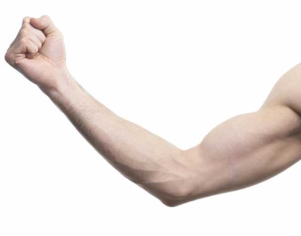 助肌肉功能维护 助肌肉功能维护