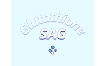 乙?；入赘孰牡亩捞赜攀?>
                                    </div>

                                    <div   id=