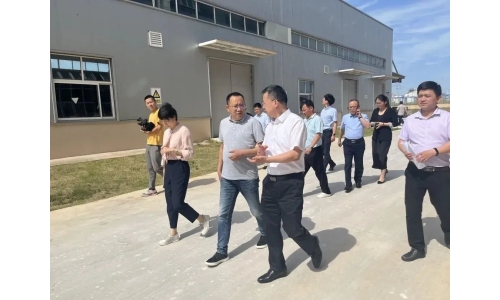 市委常委、副市长吕栋来公司调研