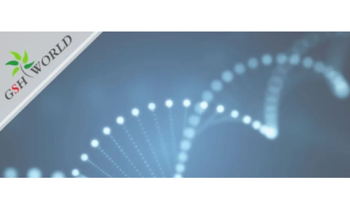 行业关注 - 胞磷胆碱保护大脑的7大好处