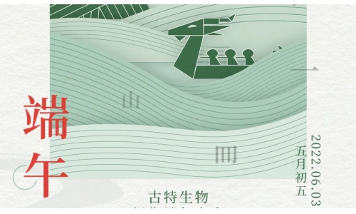 端午 - 争流而上，行舟踏浪