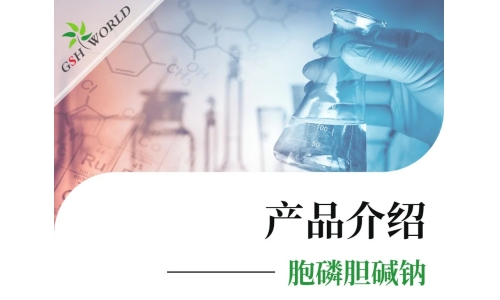 产品介绍 - 胞磷胆碱钠——被广泛应用的神经?；ぜ?></a>
	</div>

		<h4>
			<a href=