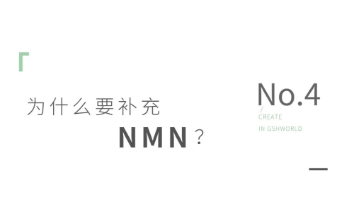 NMN——身体内的抗氧化剂、免疫调节剂和抗炎药