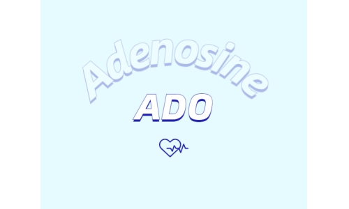 腺苷与炎症