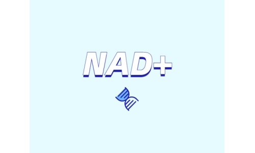 NAD+前体是如何缓解衰老的？