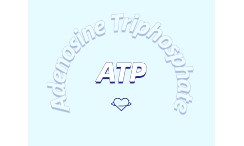 ATP有什么用？