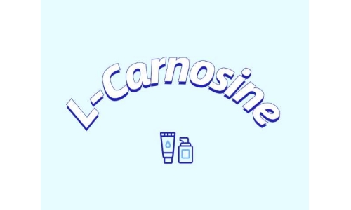 L-肌肽有什么应用？