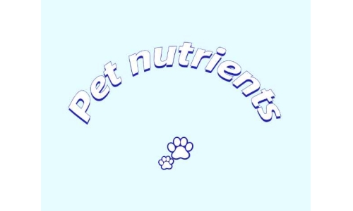 三种具有潜力的宠物营养素——PQQ、辅酶Q10以及S-腺苷甲硫氨酸